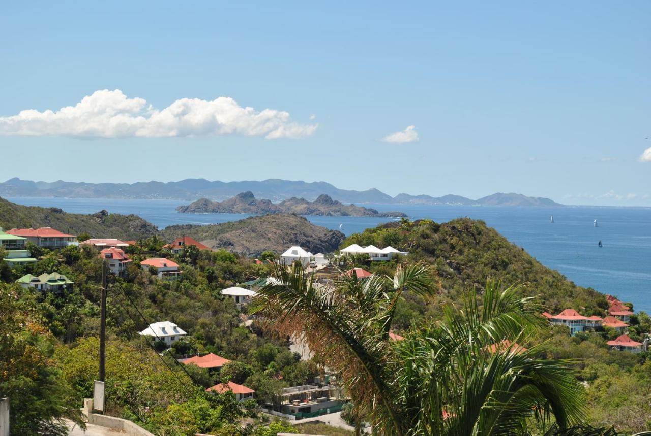 Reve De Saint Barth - Vue Mer - Piscine Chauffee & Jacuzzi 古斯塔维亚 外观 照片