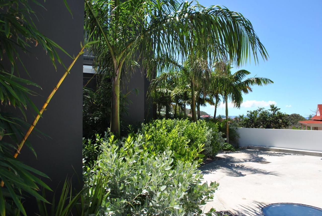 Reve De Saint Barth - Vue Mer - Piscine Chauffee & Jacuzzi 古斯塔维亚 外观 照片