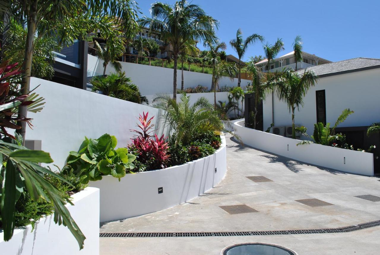 Reve De Saint Barth - Vue Mer - Piscine Chauffee & Jacuzzi 古斯塔维亚 外观 照片